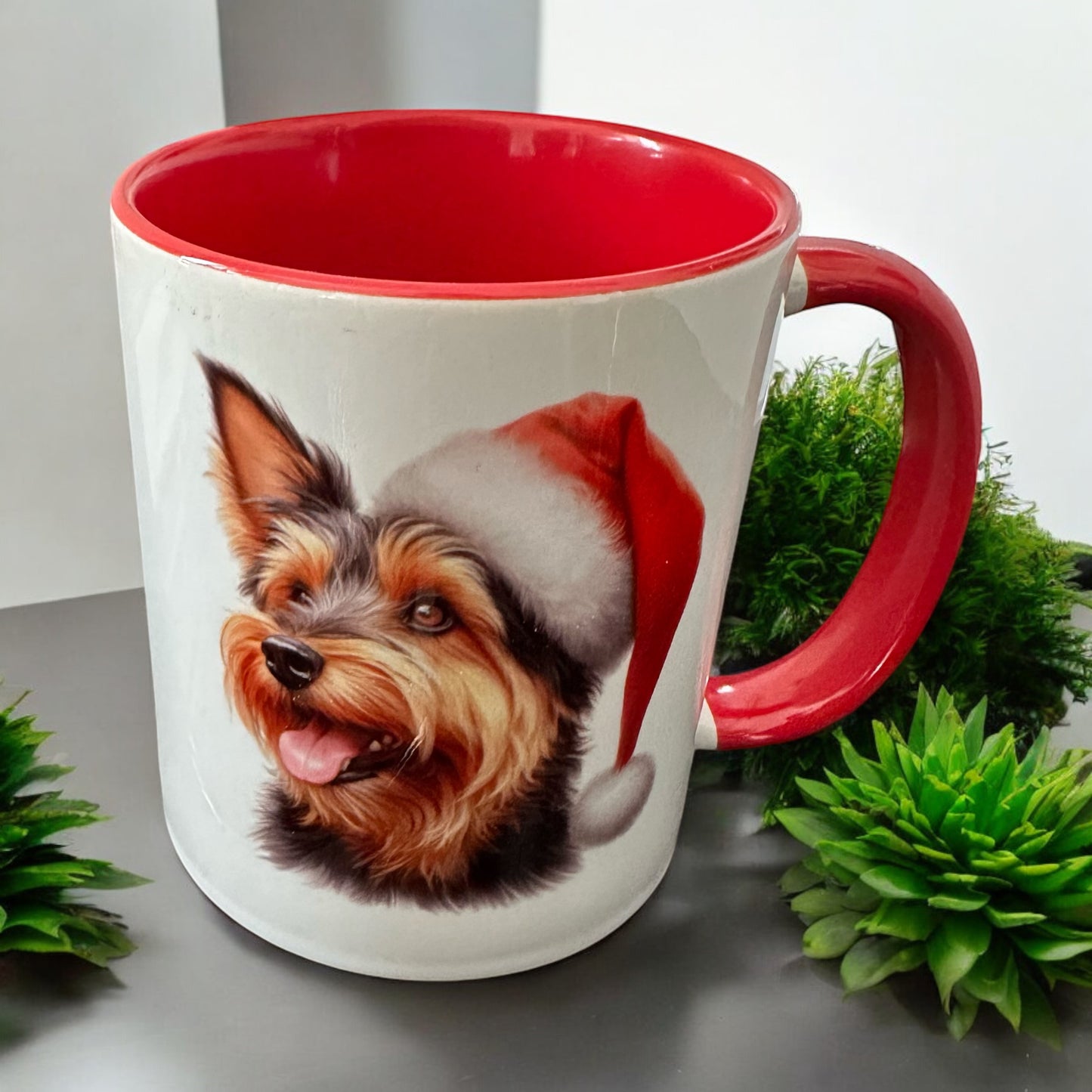 11oz High-Gloss Mug with Colored Handle Options